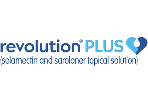 Revolution-Plus